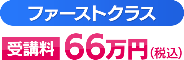 特別価格66万円