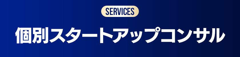 個別スタートアップコンサル